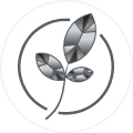 Silvestra